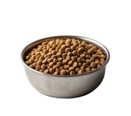 Сухой корм для собак